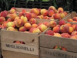 Αποτέλεσμα εικόνας για συμπύρηνα ροδάκινα