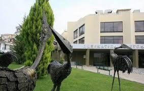 Αποτέλεσμα εικόνας για Πνευματικό κέντρο Γιαννιτσών