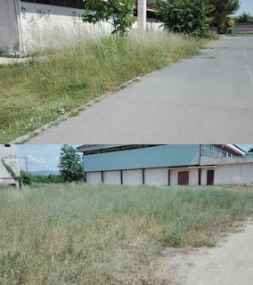 Αποτέλεσμα εικόνας για Η ΣΚΥΔΡΑ ΤΟΥ ΑΘΛΗΤΙΣΜΟΥ ΚΑΙ ΤΟΥ ΠΟΛΙΤΙΣΜΟΥ 2017