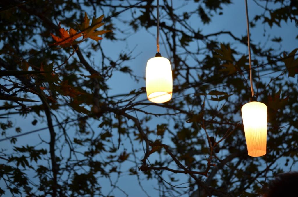 ΠΛΑΤΑΝΟΣ (15)