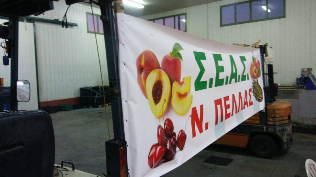 Αποτέλεσμα εικόνας για ΣΕΑΣ Πέλλας